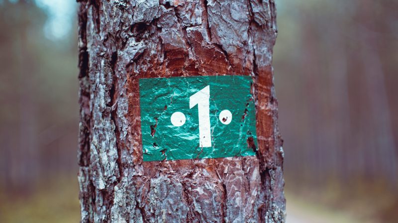 Close-up picture of a tree trunk with the number 1 painted onto the trunk.