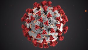 An illustration created by the Centers for Disease Control and Prevention (CDC) of a coronavirus virion, which reveals ultrastructural morphology exhibited by coronaviruses. Red spikes adorn the outer surface of the spherical gray virion, which look like a corona surrounding the virion when viewed with an electron microscope.